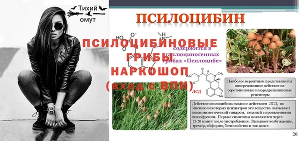 индика Арсеньев