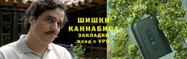 сатива Алексин